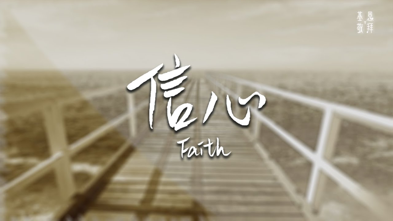你家喵星人为何爱喝马桶水的原因在这里！